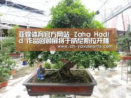 亚娱体育官方网站